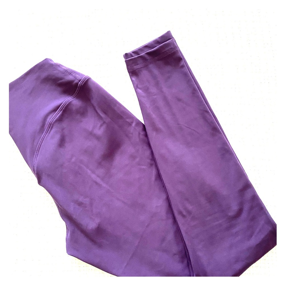 The Ascend Pant - Violet in size small